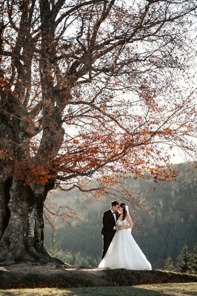 nature, wedding
