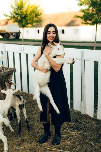 pets, nature, portrait