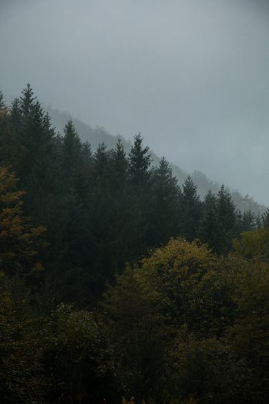 nature, content