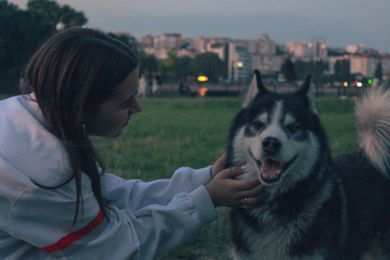 pets, street, portrait