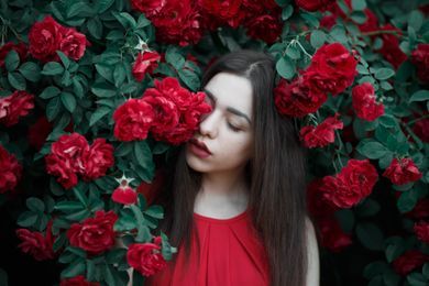 commercial, nature, portrait, content, fashion
