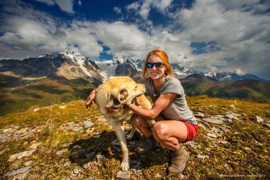 pets, sports, nature, portrait