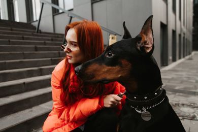 pets, portrait, content, street