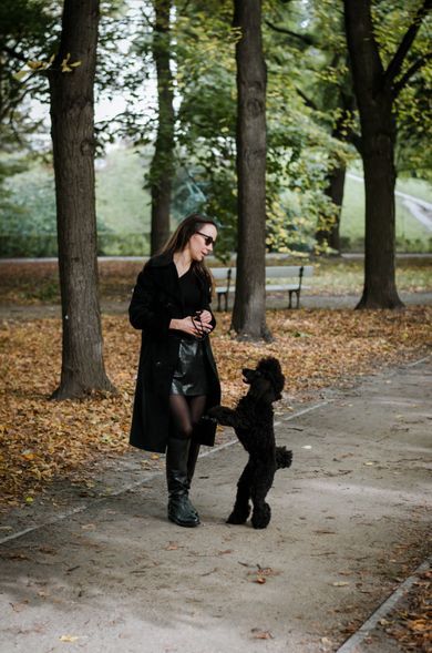 pets, nature, street