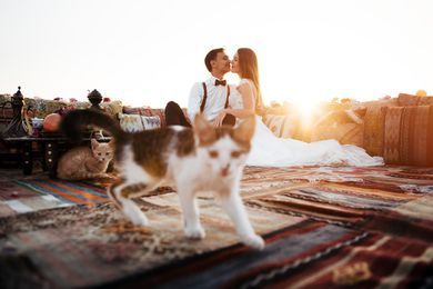 wedding