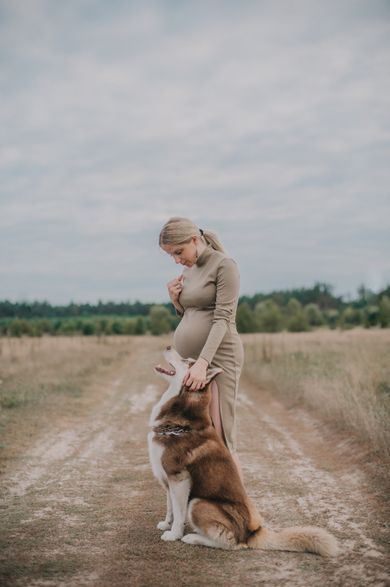 pets, maternity