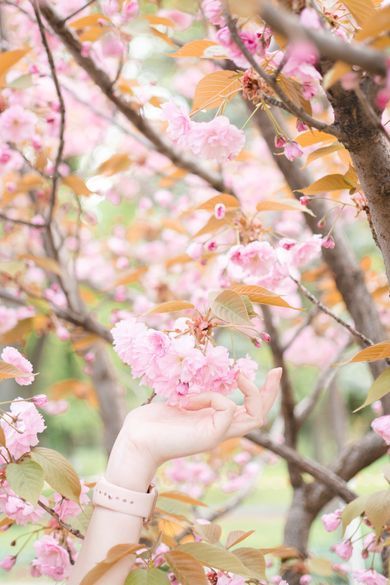 product, couple, nature, exterior, wedding