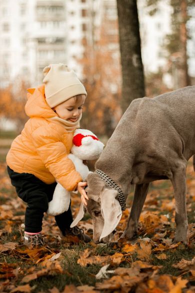 pets, children
