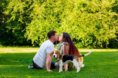 couple, maternity, ukraine, family