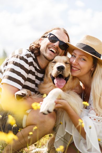 pets, family