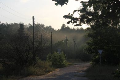 nature