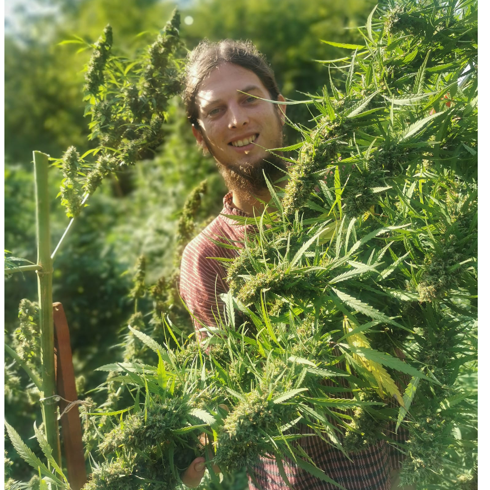 CBD kapi - 7% thumbnail 3