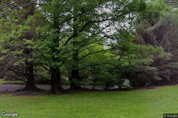Street view of 14 Cassandra Dr, Alpine, NJ 07620