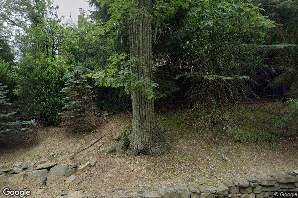 Street view of 481 Hillside Ave, Alpine, NJ 07620