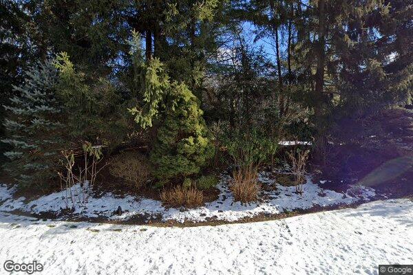 Street view of 6 Tulip Tree Ln, Alpine, NJ 07620