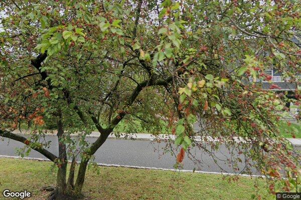 Street view of 6 Belvidere Pl, Montclair, NJ 07042