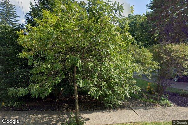 Street view of 783 Valley Rd, Montclair, NJ 07042