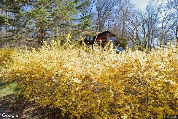 Street view of 22 Parrish Dr, Vernon, NJ 07462