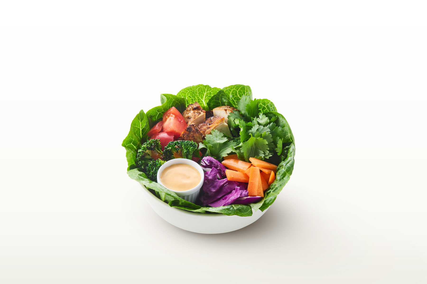 Cilantro Spicy Ethnic Salad