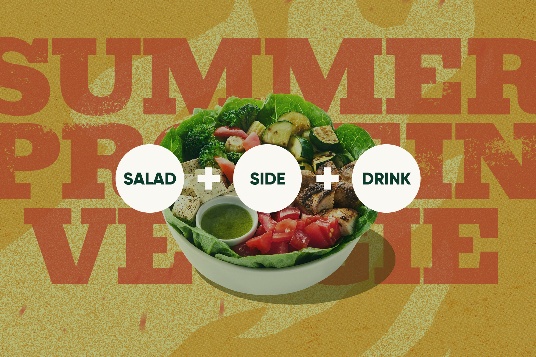 SUMMER PROTEIN VEGGIE TRIO SET