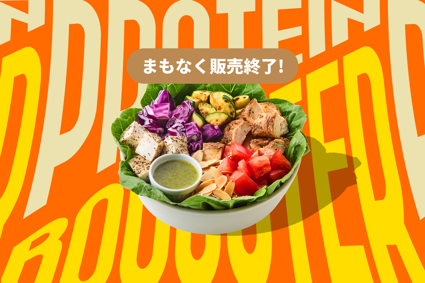 PROTEIN BOOSTER