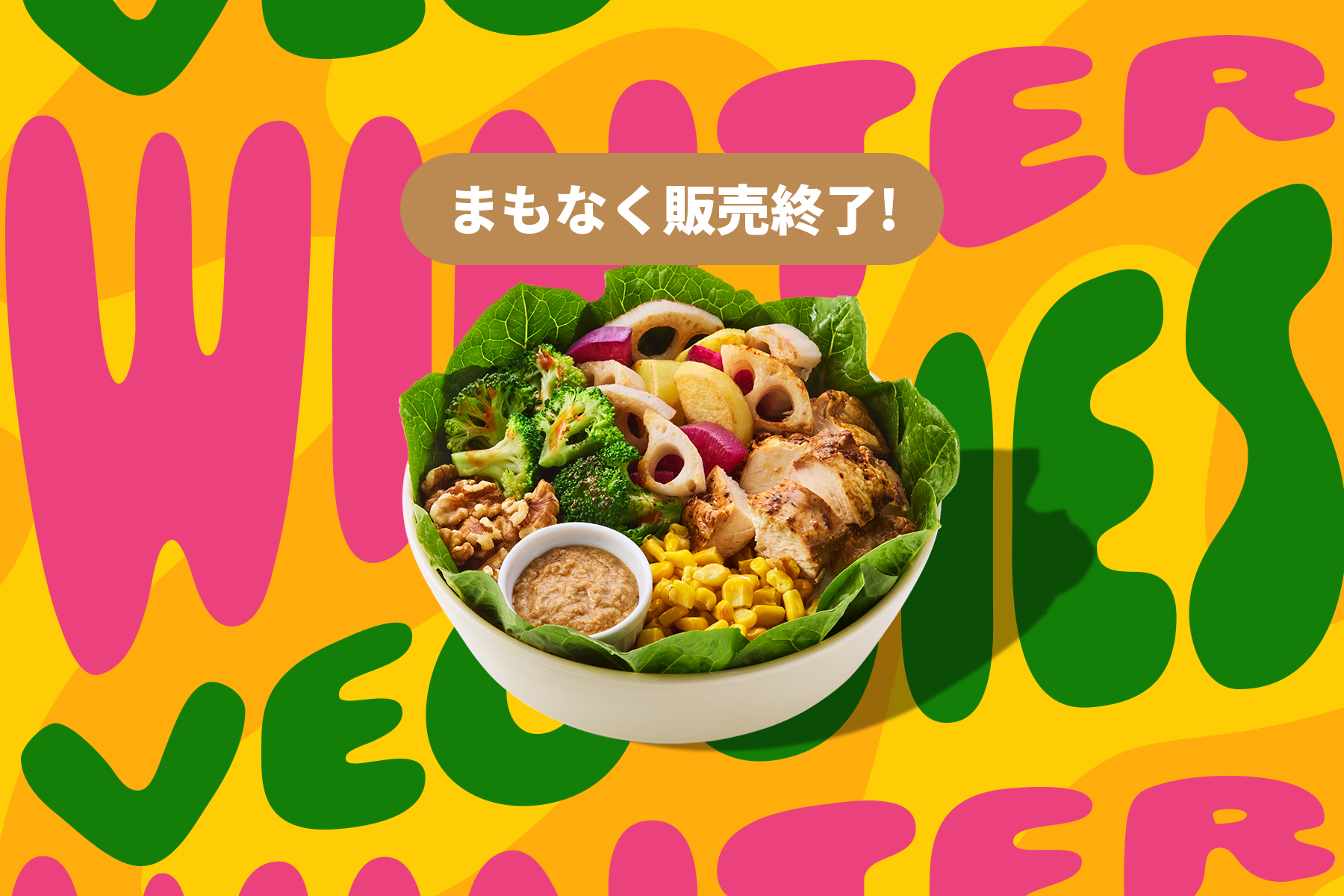 WINTER VEGGIE + CHICKEN