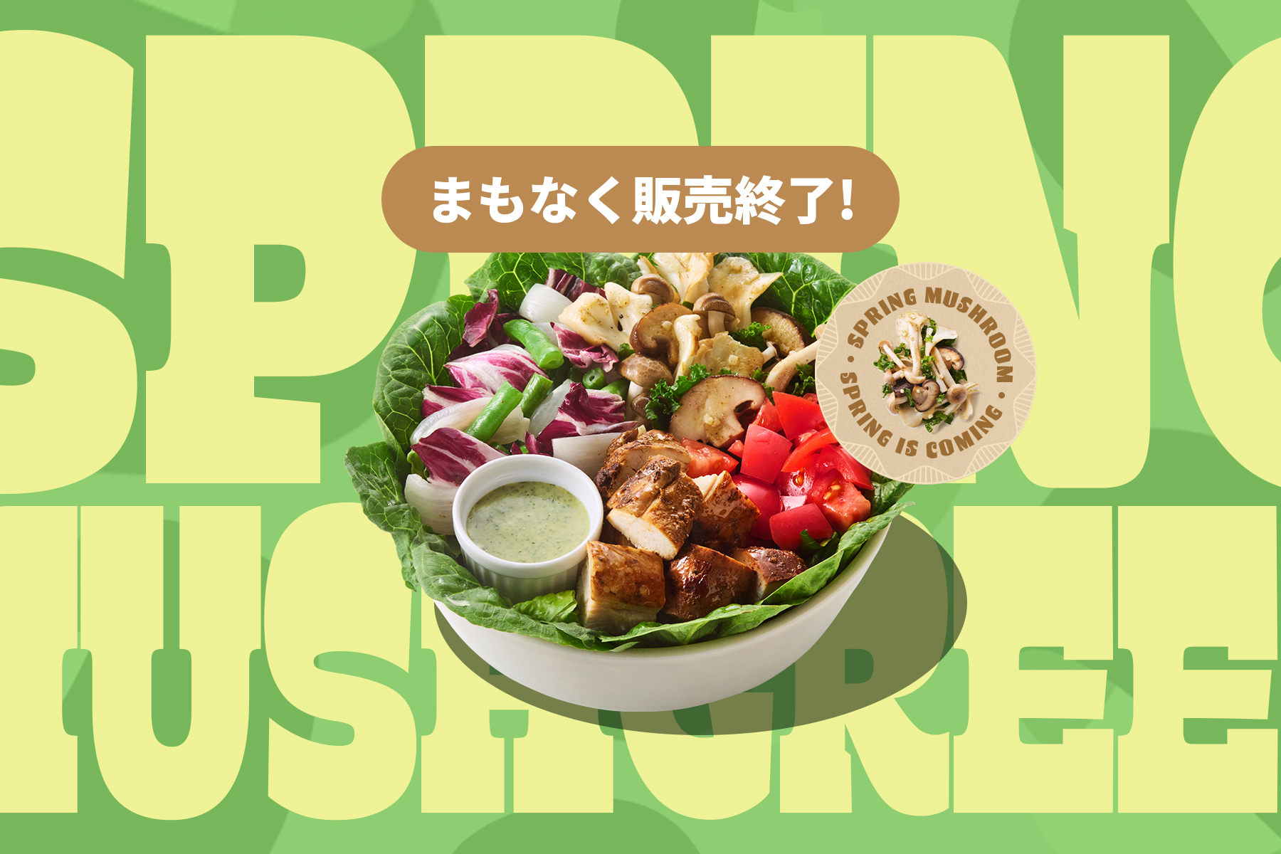SPRING MUSH GREEN