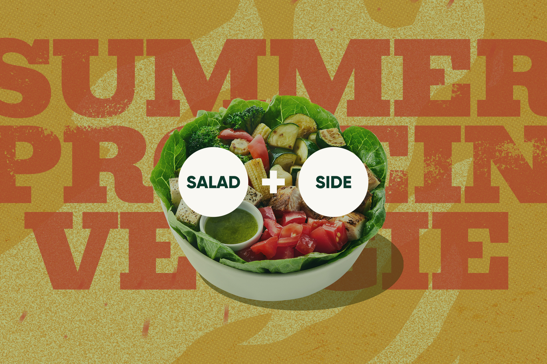 SUMMER PROTEIN VEGGIE COMBO SET