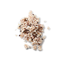 ワイルドライス