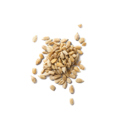 サンフラワーシード