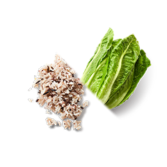 ロメインレタスとワイルドライス