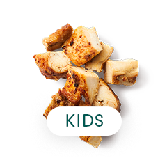 オリジナルチキン