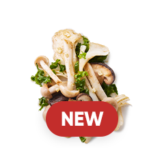 スプリングマッシュルーム