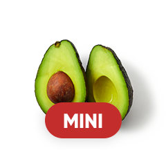 アボカド（1/4）