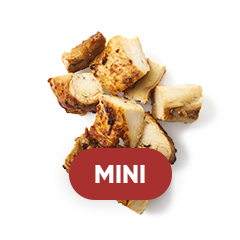 オリジナルチキン（35g）