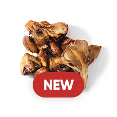 ミックスマッシュルーム