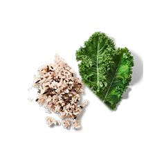 ケールとワイルドライス