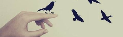 AL İZ VELL !