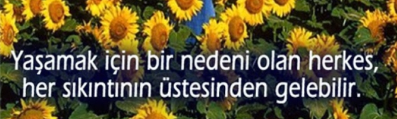 Hedeflerime ulaşmaya çalışırken hep önüme bir şeyler çıkıyor ve bana engel mi oluyor? Ne