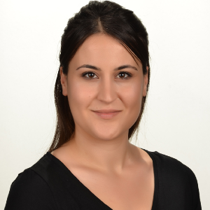 Emine ERFIDAN