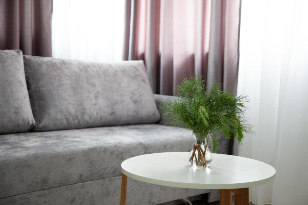 Premium Family Apartment