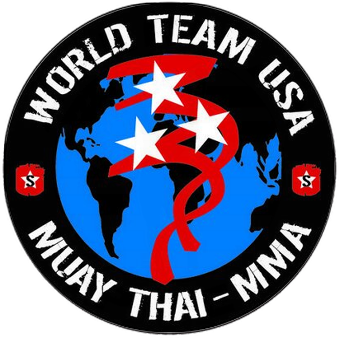 WORLD TEAM USA Logo