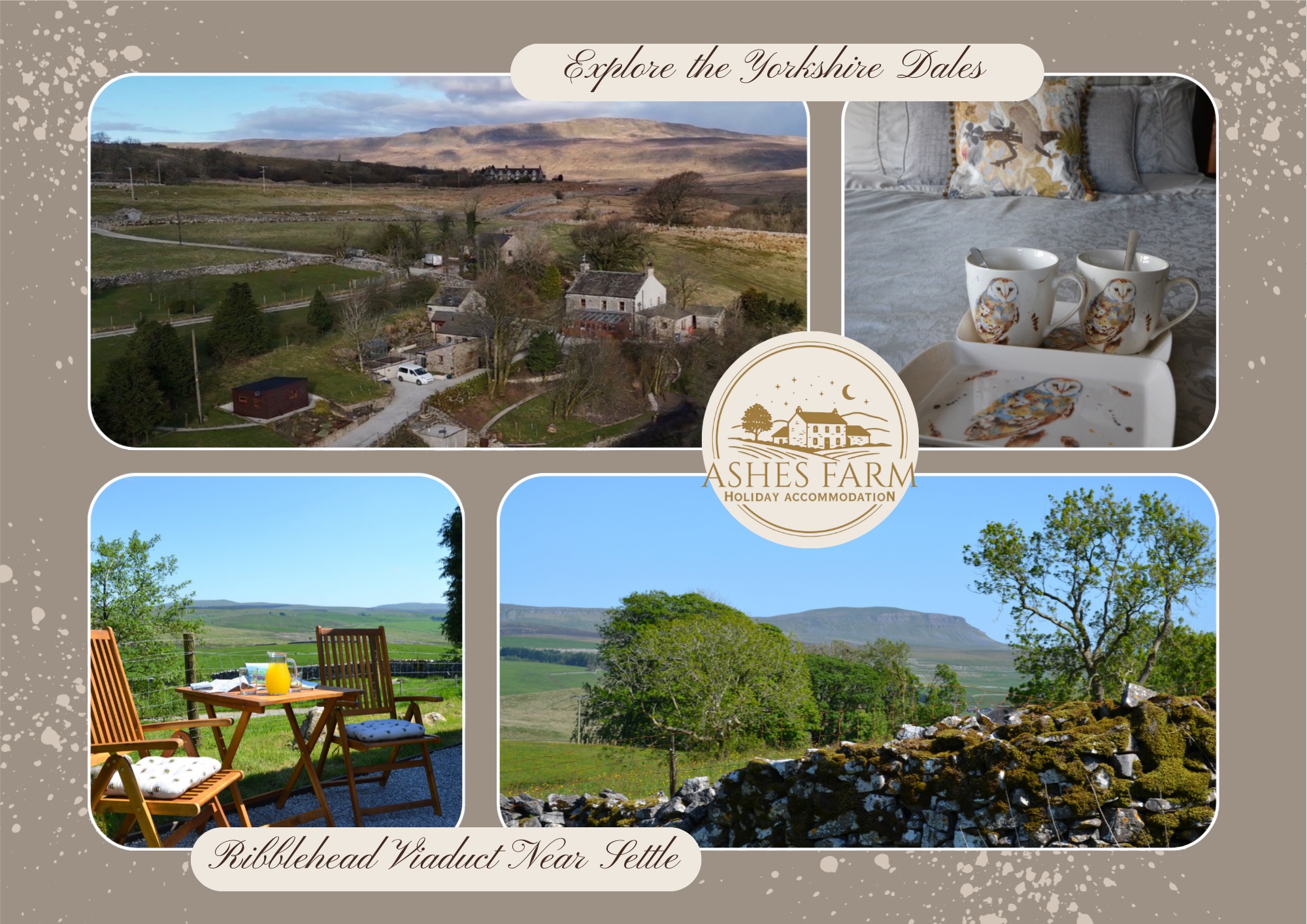Ashes farm Bed & Breakfast, Holiday Cottage And Lodges