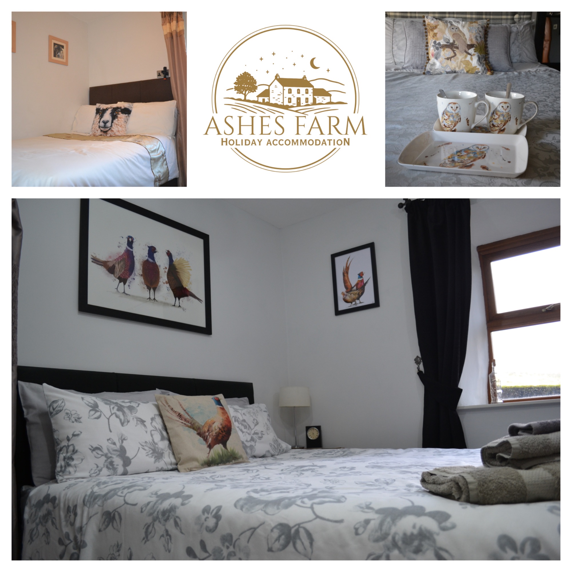 Ashes farm Bed & Breakfast, Holiday Cottage And Lodges