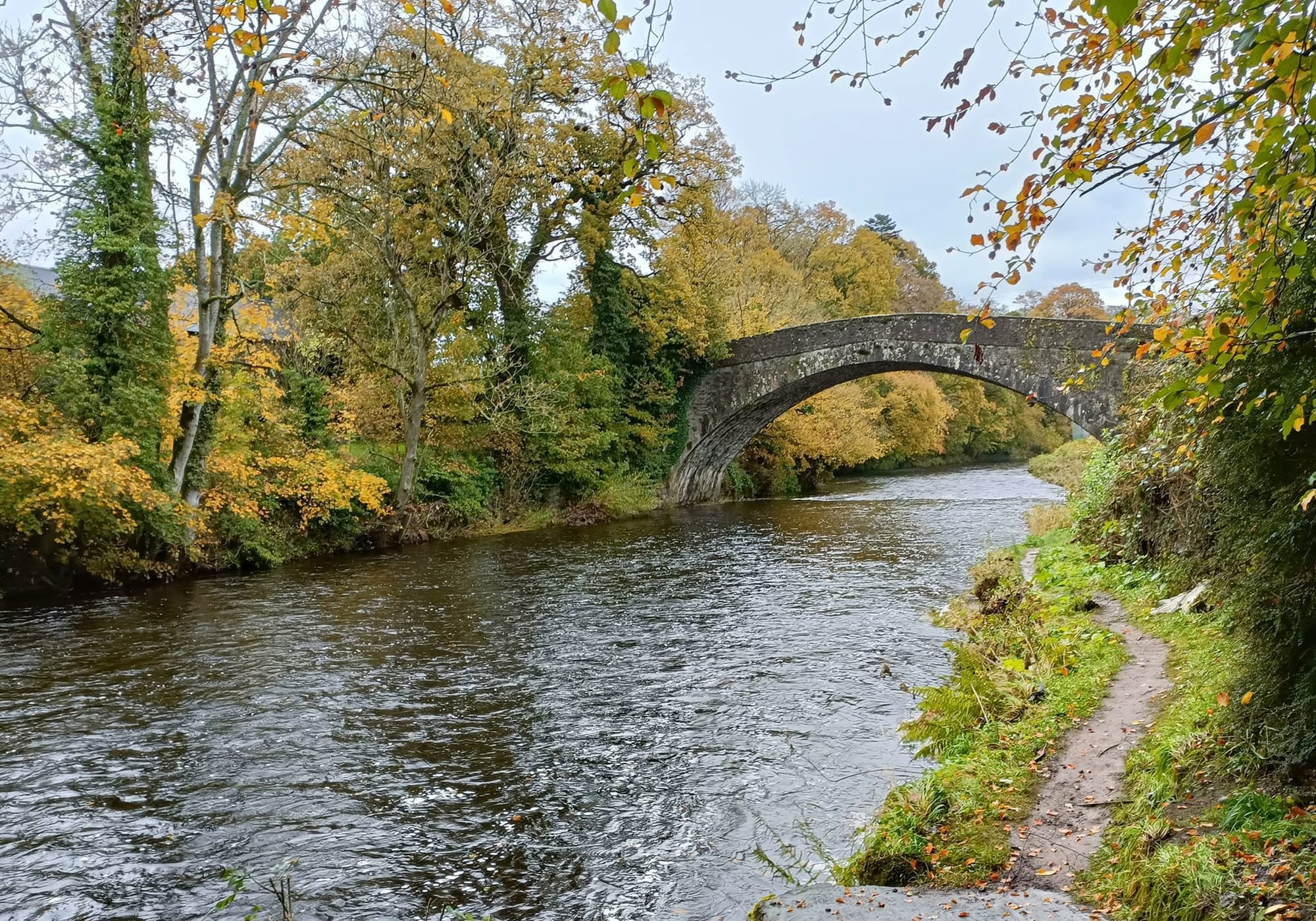 Image of Moyola Angling Club