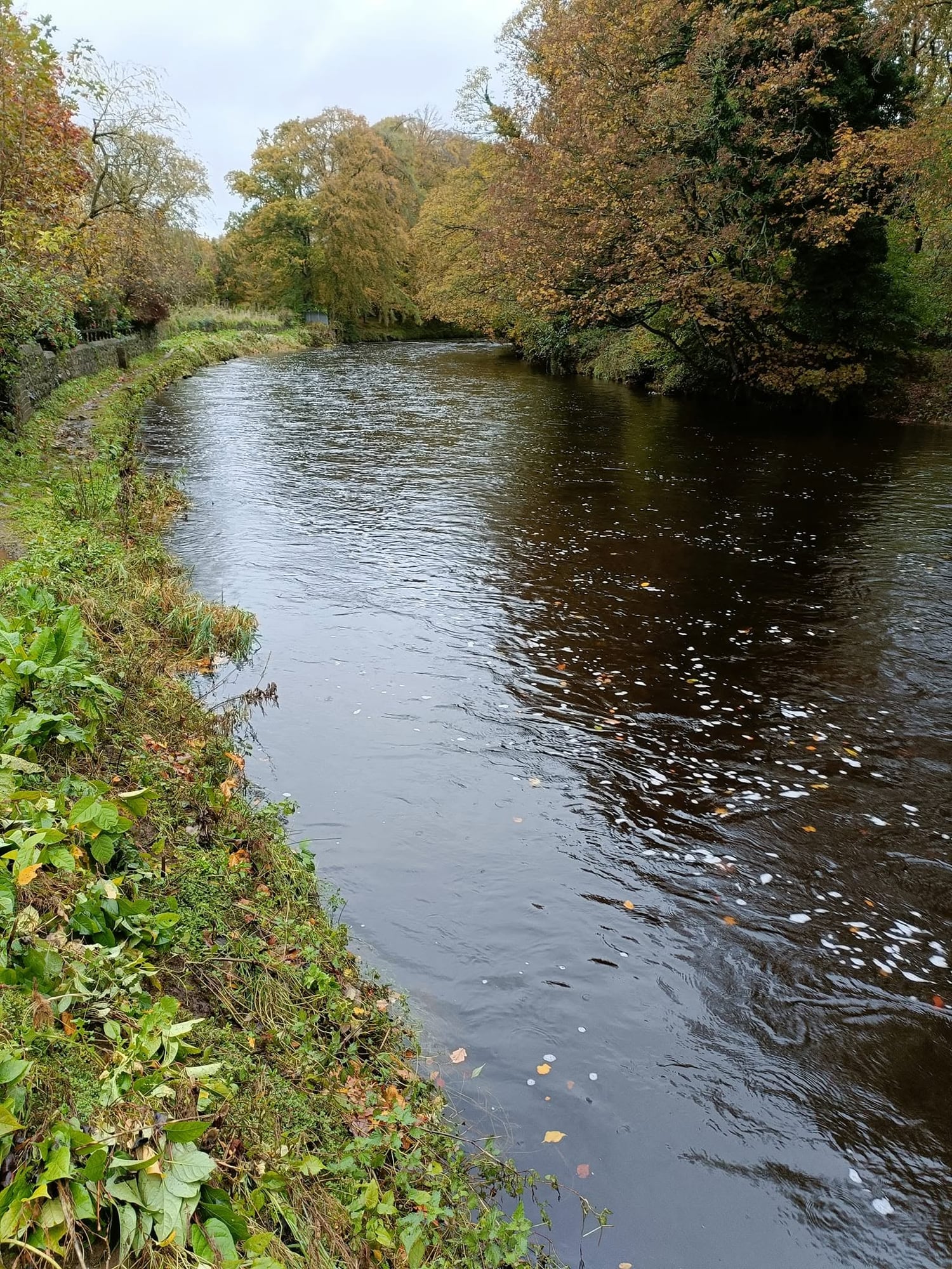 Moyola Angling Club