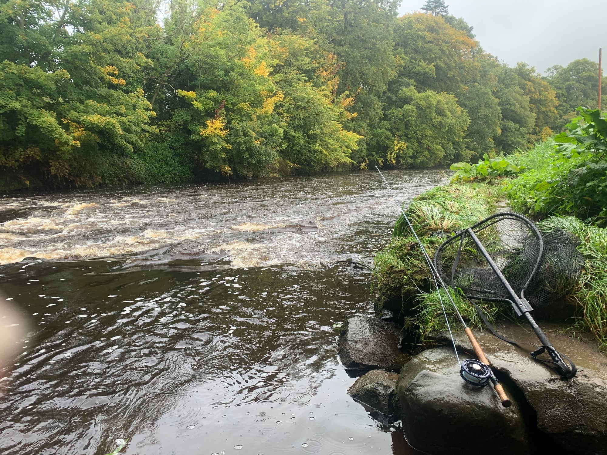 Moyola Angling Club