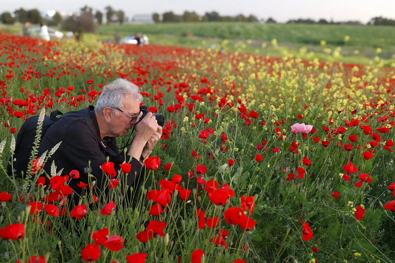 קורס צילום קבוצתי במודיעין