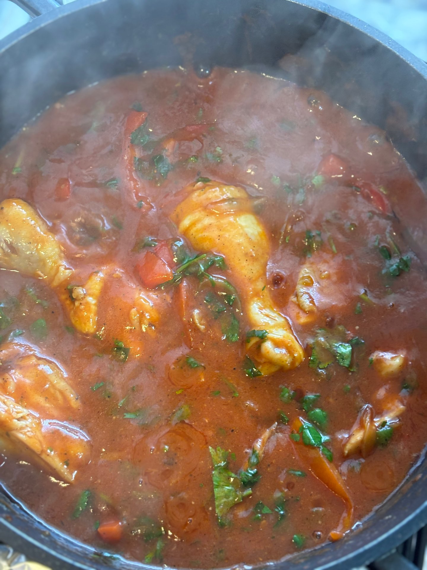 צלי עוף  עם ירקות ברוטב עגבניות 