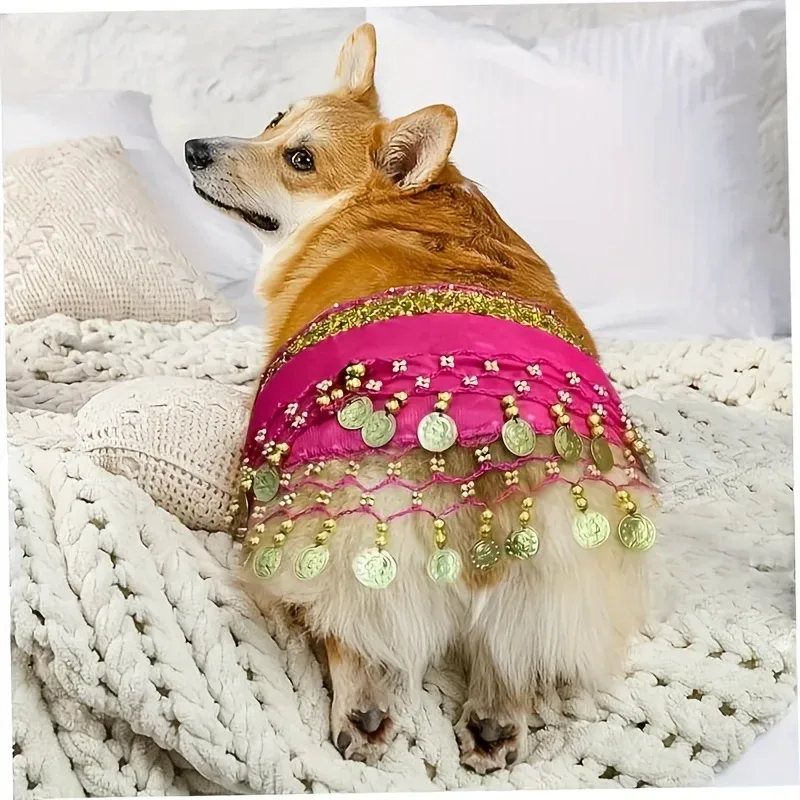 תחפושת מהנה לכלבים – להפוך את הכלב שלכם לכוכב המסיבה!